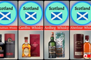 Popular Alcohol Brands From Different Countries 2023 | Wine, Whisky, and More!