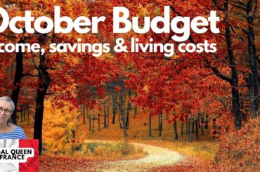 October Budget. Income, savings & living costs. #frugalliving #costofliving #budgeting #inflation