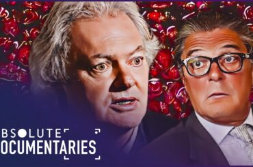 Intricate Craftsmanship & Controversy | Vino Business: The Cloudy World of French Wine | Only Human