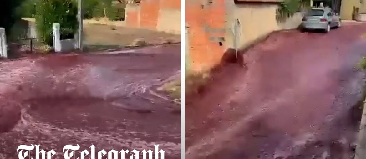 Two million litres of red wine flood streets of Portuguese village