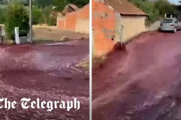 Two million litres of red wine flood streets of Portuguese village