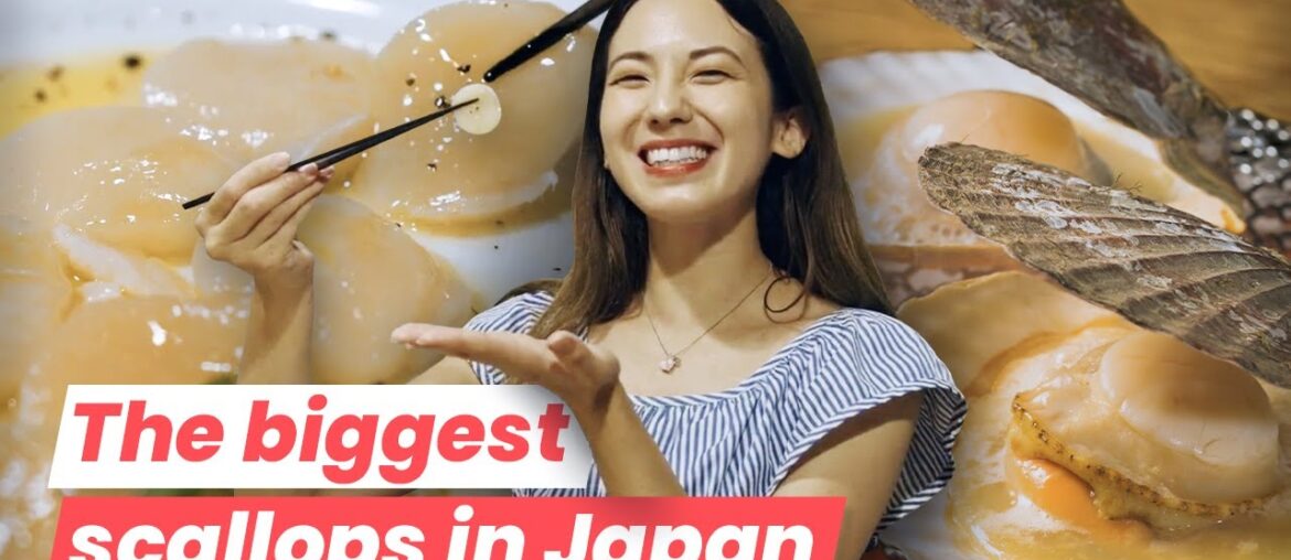 Diving into Flavor of Hokkaido Scallops & 3 Places Where to Eat them in Tokyo!