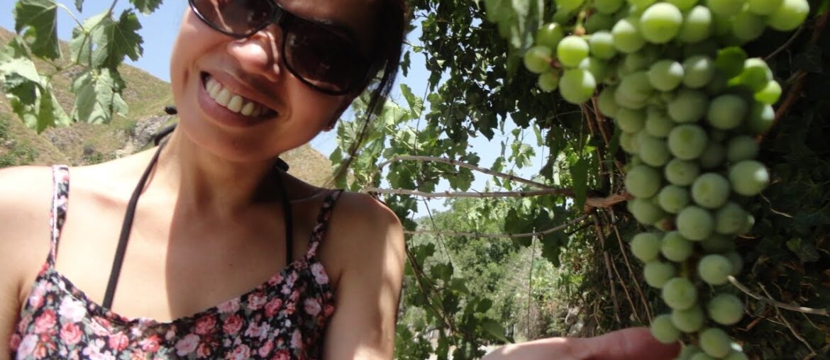 Red Wine,Love,Pairings,food,Varieties,dna,idiosyncrasies,affairs,secrets disclosed,where,why,how Red Wine,Love,Pairings,food,Varieties,dna,idiosyncrasies,affairs,secrets disclosed,where,why,how