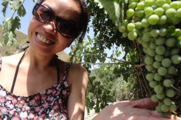 Red Wine,Love,Pairings,food,Varieties,dna,idiosyncrasies,affairs,secrets disclosed,where,why,how