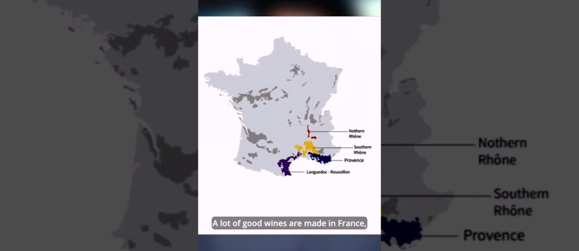 The real home of Grenache/Garnacha Red wine grape is not France. #shorts #short #wine #drink