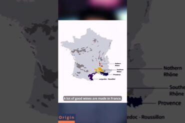 The real home of Grenache/Garnacha Red wine grape is not France. #shorts #short #wine #drink