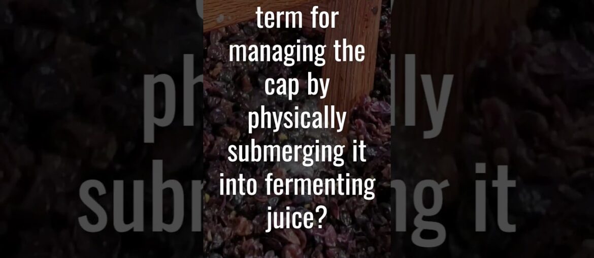 Harvest time! Cap management #winefacts