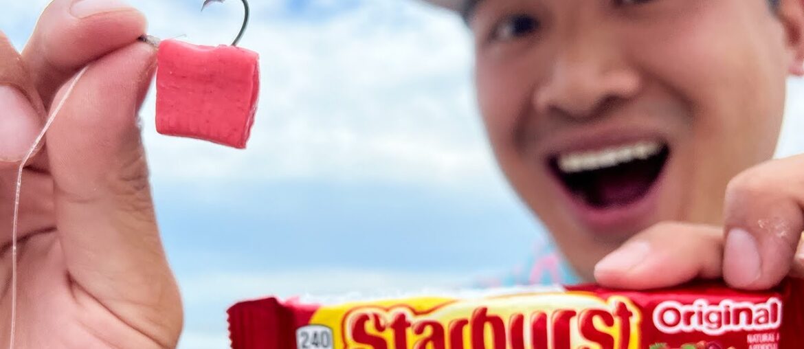 Do Fish Like Candy?? I Hooked a GOURMET Meal! (Hook and Cook) Do Fish Like Candy?? I Hooked a GOURMET Meal! (Hook and Cook)