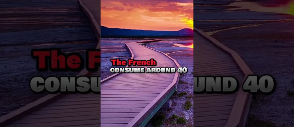 Fun Facts About French #facts#factshorts #factsstory #frenchwithvincent #france Fun Facts About French #facts#factshorts #factsstory #frenchwithvincent #france