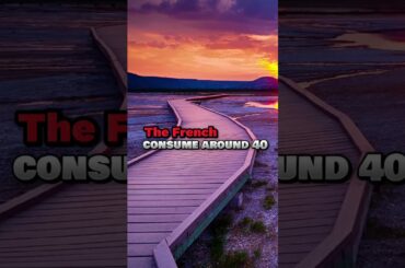 Fun Facts About French  #facts#factshorts #factsstory #frenchwithvincent #france