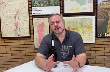 Wine Review: Church Road 1 Single Vineyard Hawkes Bay Syrah 2021