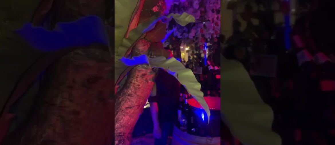 Wine Carnival Bali Indonesia @Balifrench2024