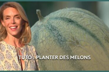 Le potager gourmet du Lot - Les Potagers de Julie