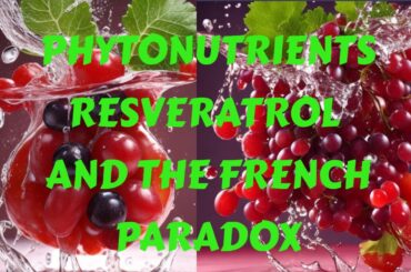 PHYTONUTRIENTS:NATURE'S TREASURES(PART 2) RESVERATROL AND THE FRENCH PARADOX