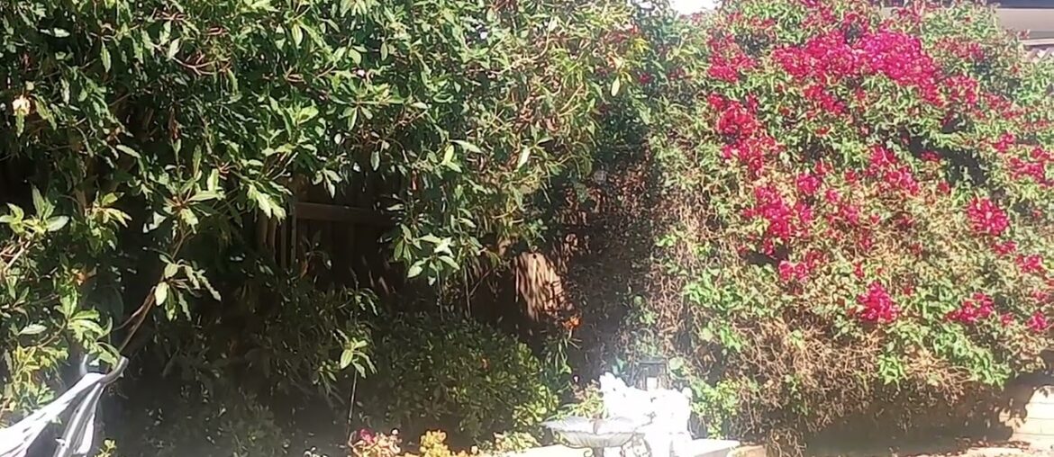 Disneyland......my 70s memories....