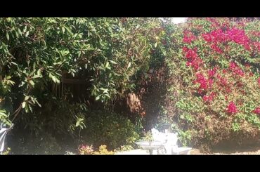 Disneyland......my 70s memories....