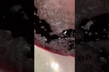 Variety of Grape Leaves: A Culinary Canvas #wine #winemaking#winerylover