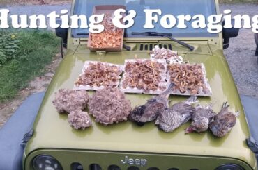 Grouse and Grifola - 2 "hens" of the woods ;)