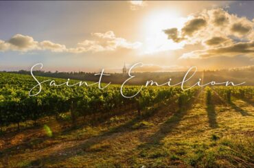 One of the French WINE City that you can't miss