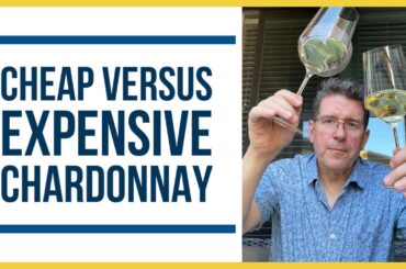 Master of Wine Discusses CHARDONNAY