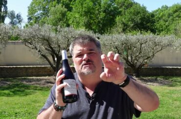 FLAVOURFUL Domaine de la Citadelle 2020 Le Chataignier (France)