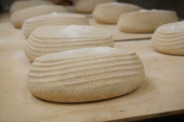 First Bake at the New Location