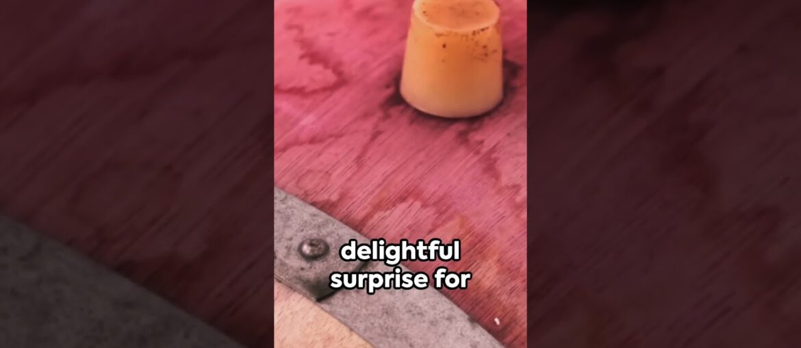 Living the Dream: Embrace the Luxurious Lifestyle of South France Living the Dream: Embrace the Luxurious Lifestyle of South France