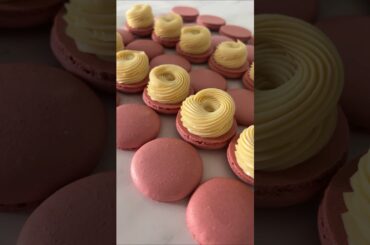 French macarons
