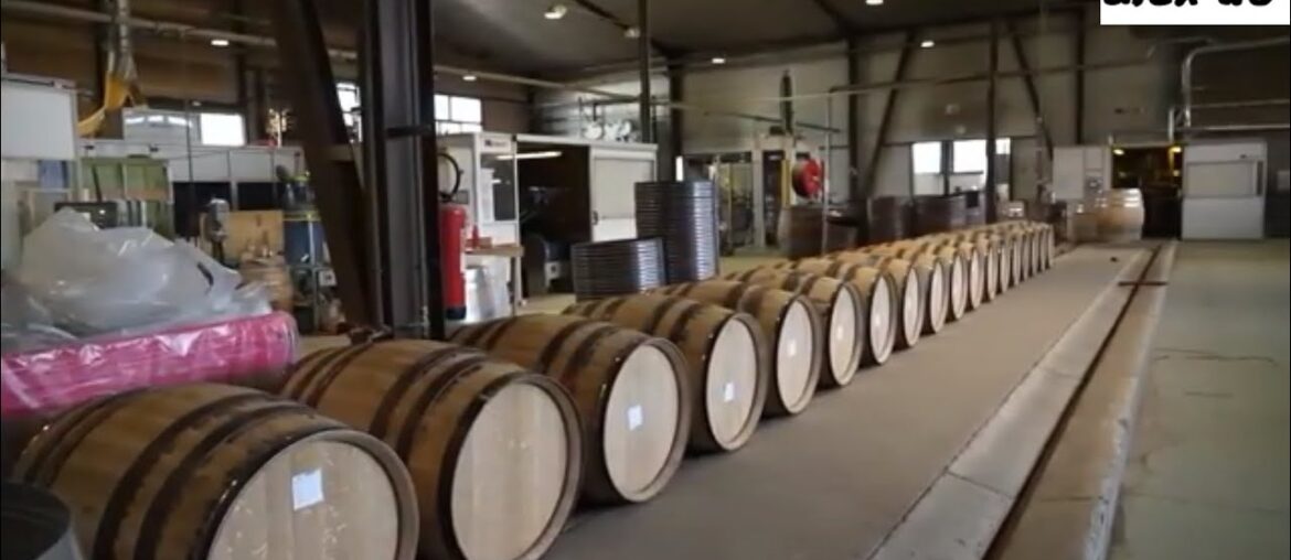 Incredible Process of Building Giant Wine Barrel by Hands | Indonesia Log Transport | viral alex do Incredible Process of Building Giant Wine Barrel by Hands | Indonesia Log Transport | viral alex do