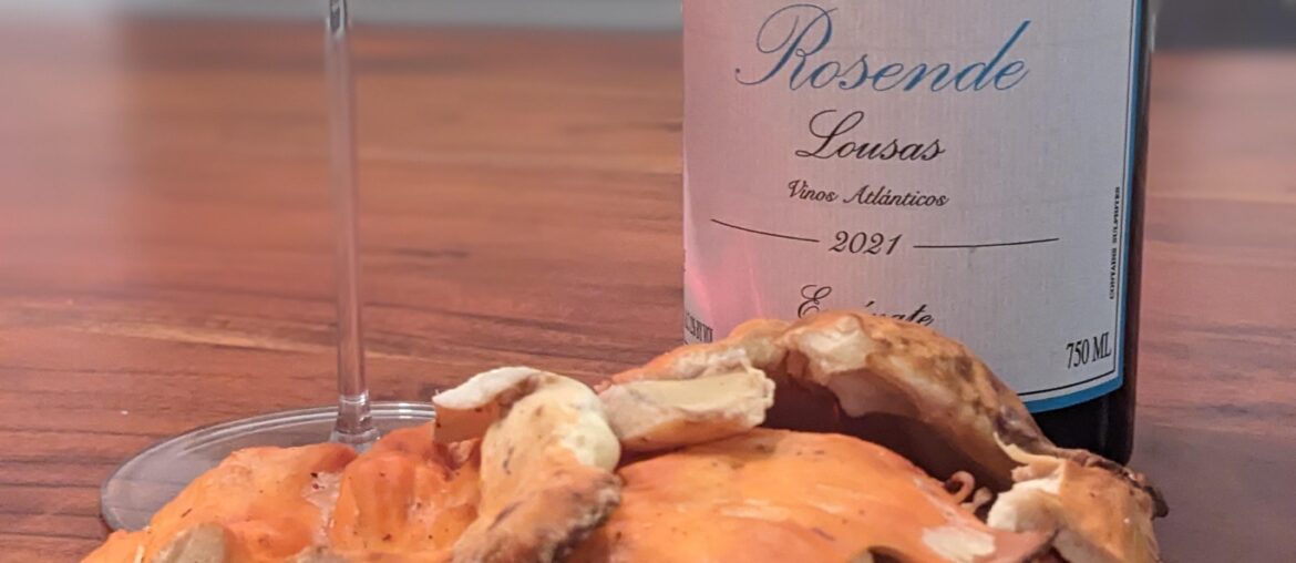 Undying Love for everything Envinate