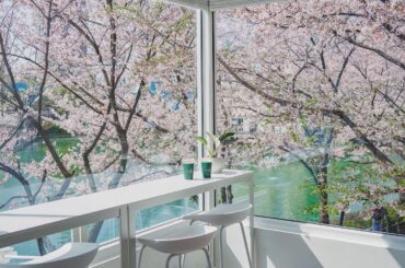 Cafe surrounded by cherry blossoms overlooking the Seokchon Lake, Songpa District, Seoul, South Korea [1440x1800]