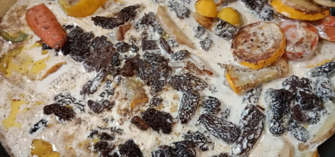 Poulet crème morilles et chardonnay