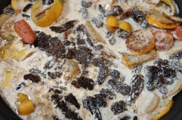 Poulet crème morilles et chardonnay