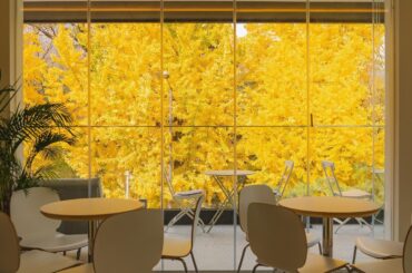 Cafe with a terrace surrounded by views of autumn foliage in Gangbuk District, northern Seoul, South Korea [1440x1800]