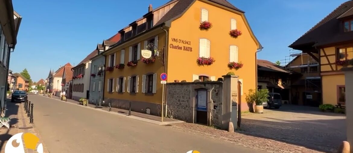 Alsace Wine Road: Culture, Tradition, and Wine