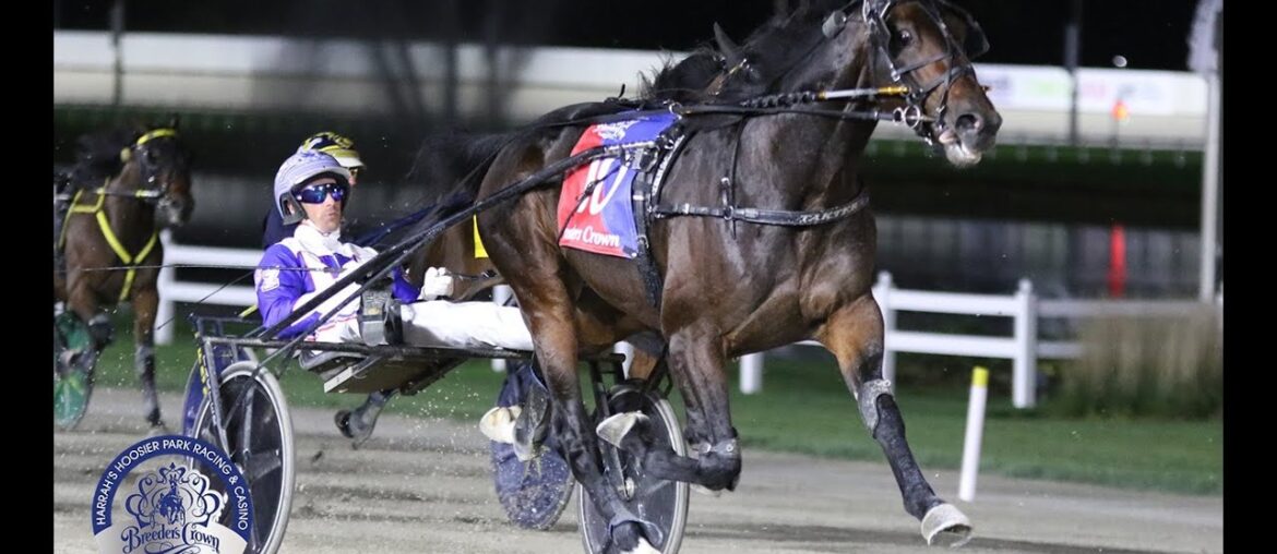 Tactical Approach & Scott Zeron wins Breeders Crown 3 YO C&G ($672,000) in 1.51,2 at Hossier Park.