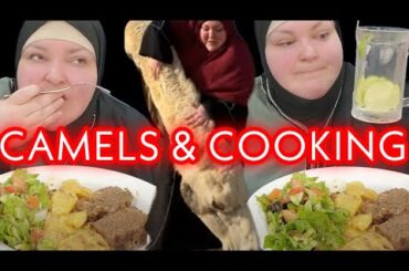 Foodie Beauty Is Jealous Of The Aducci