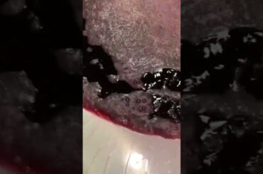 Red Wine 101: Everything You Need to Know#wine #winerylovers #redwine #bon #redwinelover #redwine