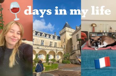 day in the life of a brit in france | wine tours, reading & fall