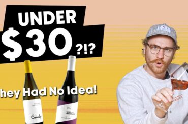 They Had No Idea It Was That Cheap! (Best Under $30 Wines) | Blind Wine Reviews