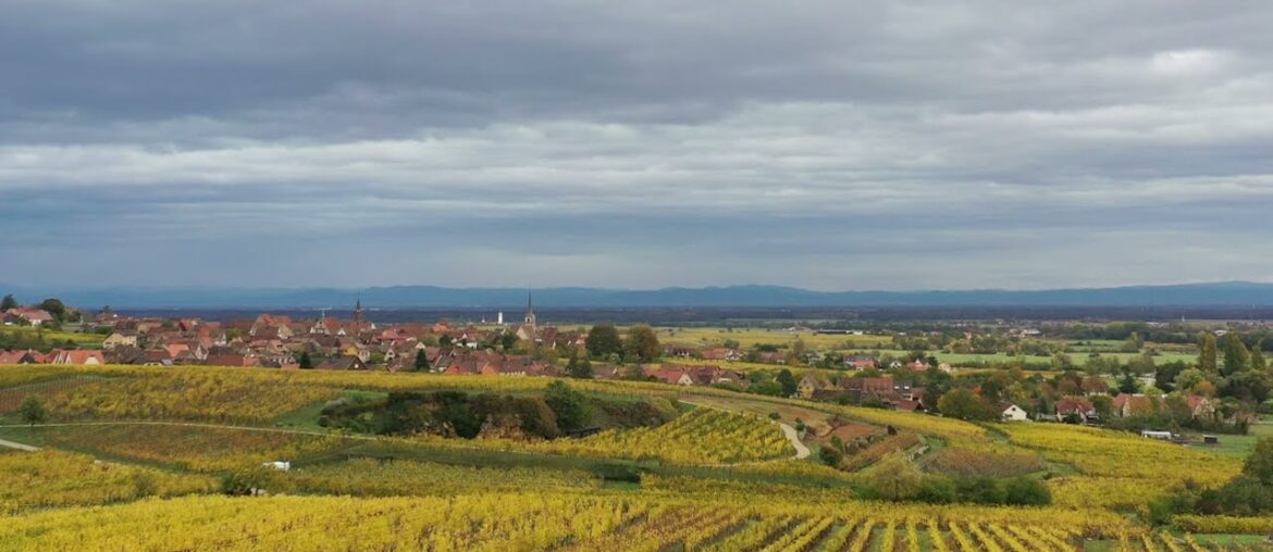 ALSACE & CHAMPAGNE 2-DAY WINE TOURS FROM PARIS BY DRIVER-GUIDE-FRANCE