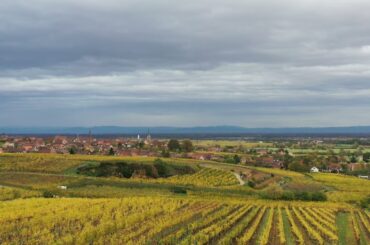 ALSACE & CHAMPAGNE 2-DAY WINE TOURS FROM PARIS BY DRIVER-GUIDE-FRANCE