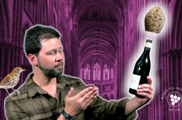 Classic French wine for under $50!