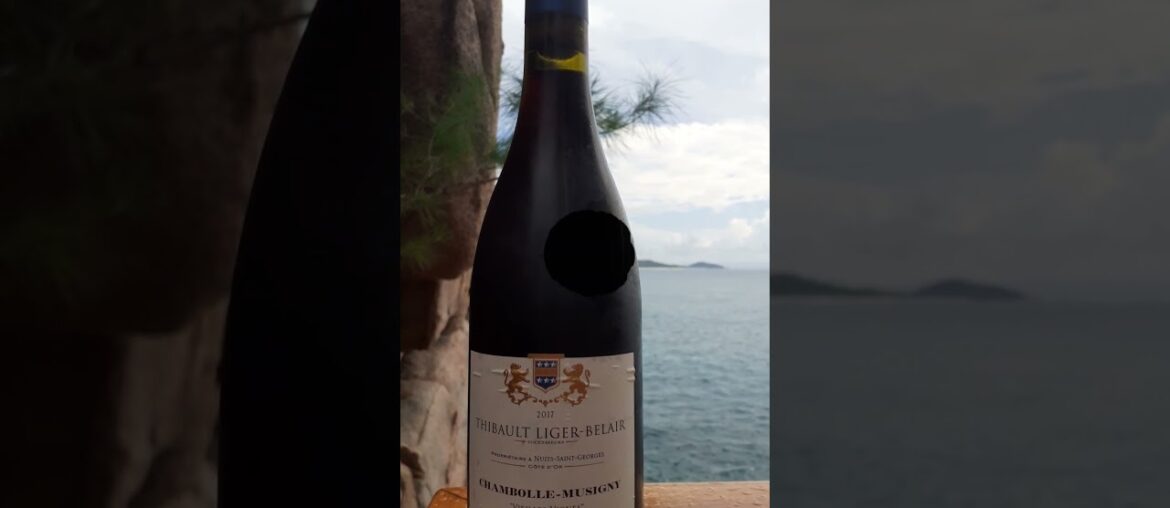 Vieilles Vignes Chambolle Musigny#frenchwine#ChambolleMusigny#WineJourney #BurgundyWines #WineLovers
