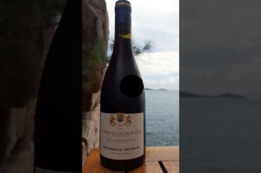 Vieilles Vignes Chambolle Musigny#frenchwine#ChambolleMusigny#WineJourney #BurgundyWines #WineLovers