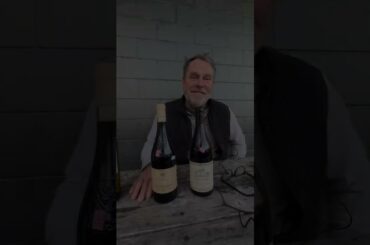 Our Thanksgiving Wine Picks