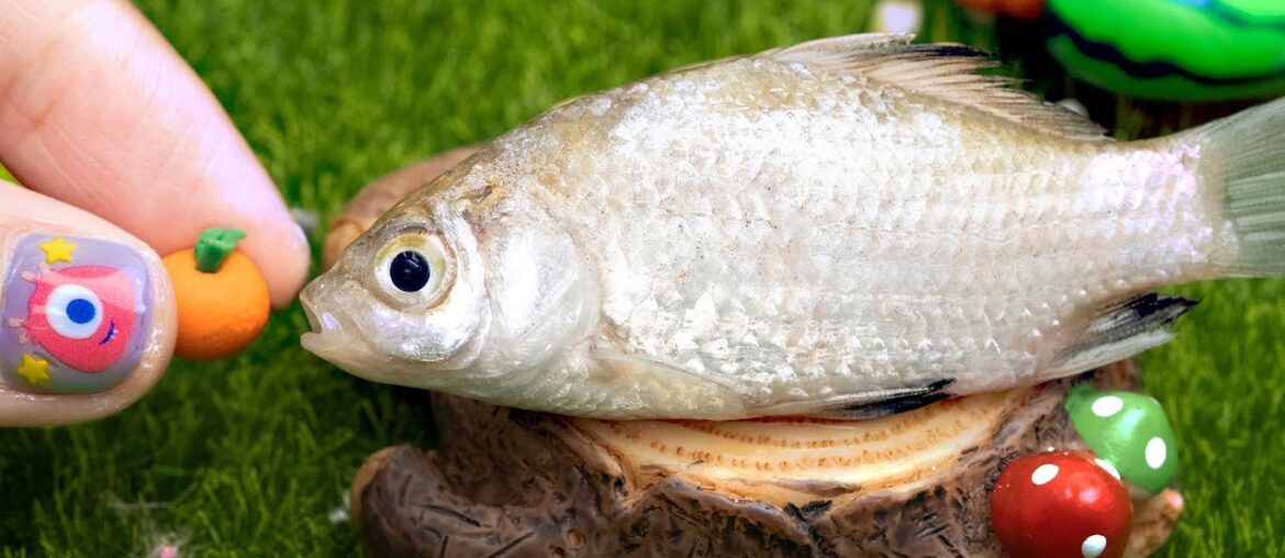 Cook Tasty Miniature Fried Crucian Carp | Best Of Cooking Mini Yummy Food By Miniature Yummy