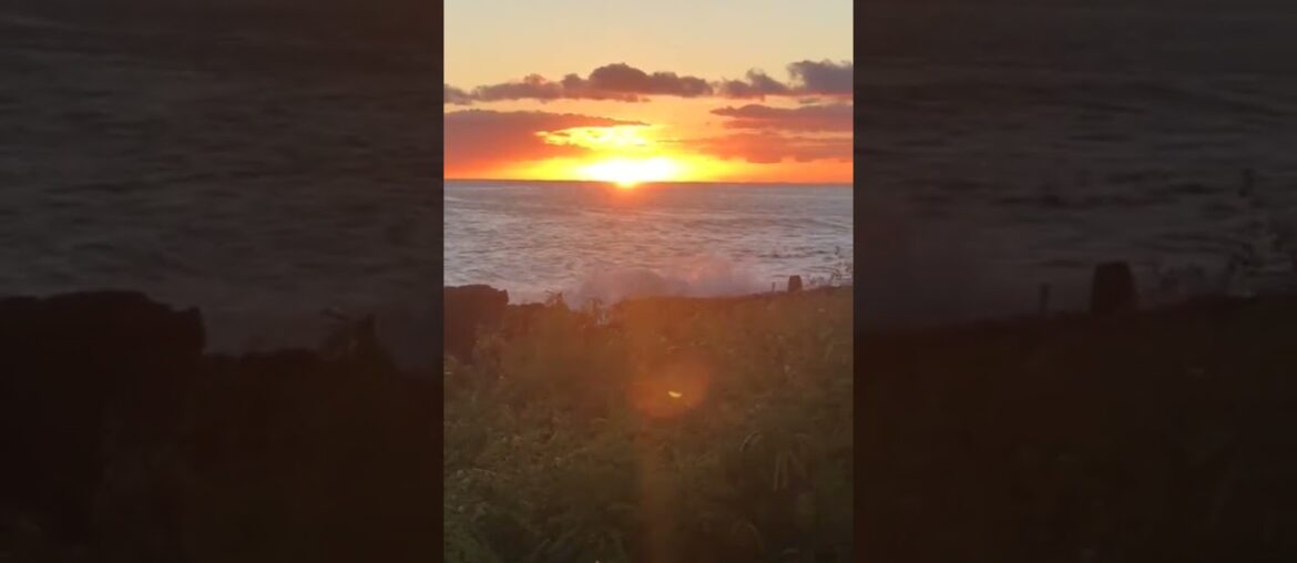 Red Wine Twilight #redwine #red #fruit #redredwine #bon #alcoholicbeverage #nature #wine Red Wine Twilight #redwine #red #fruit #redredwine #bon #alcoholicbeverage #nature #wine