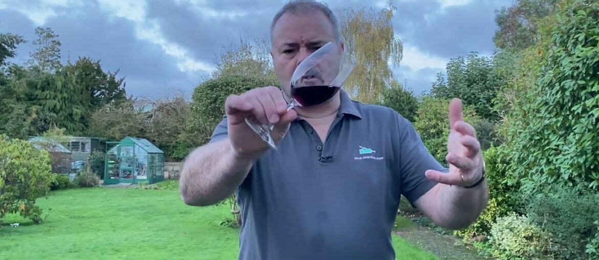 Wine Review: Tinto Pesquera Ribero del Duero Crianza 2020