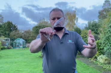 Wine Review: Tinto Pesquera Ribero del Duero Crianza 2020